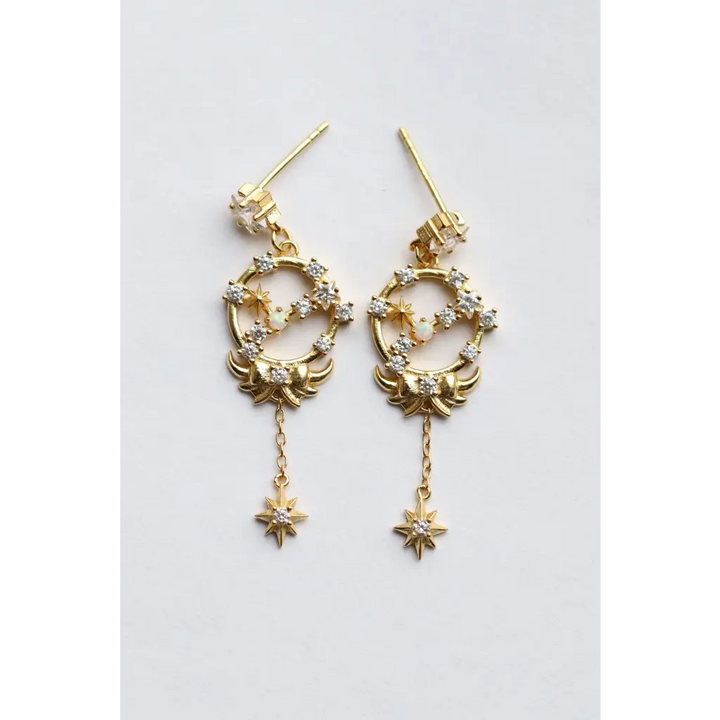 Horoscope Earrings - Earrings - 23