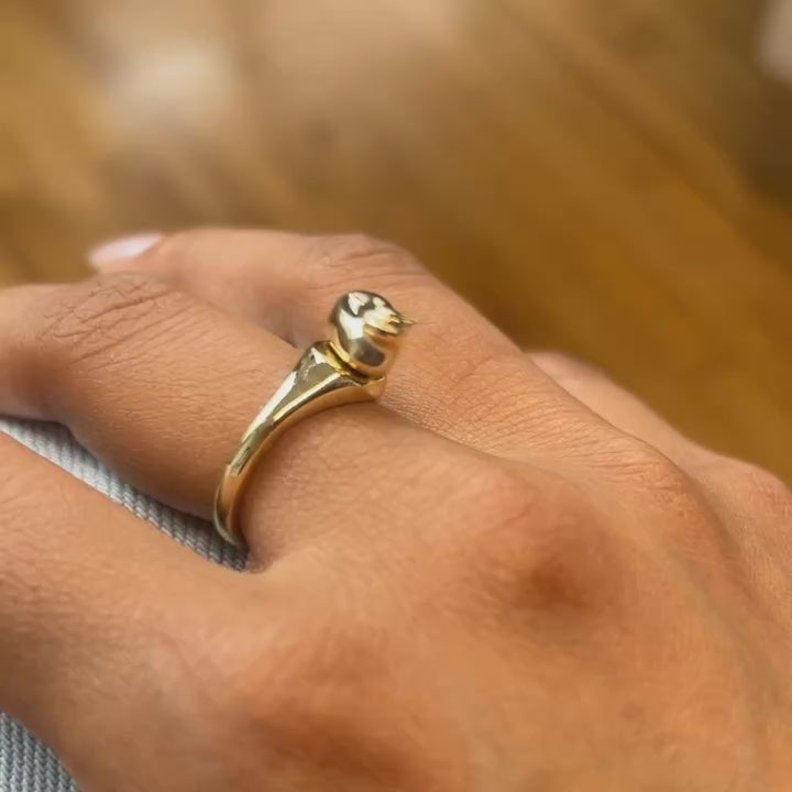 PREORDER: OIIA Ring